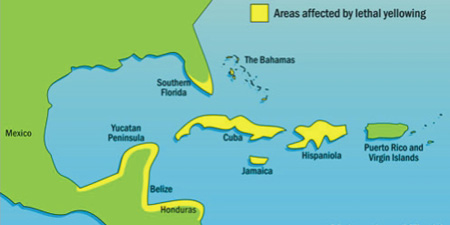 Mapa de zonas afectadas